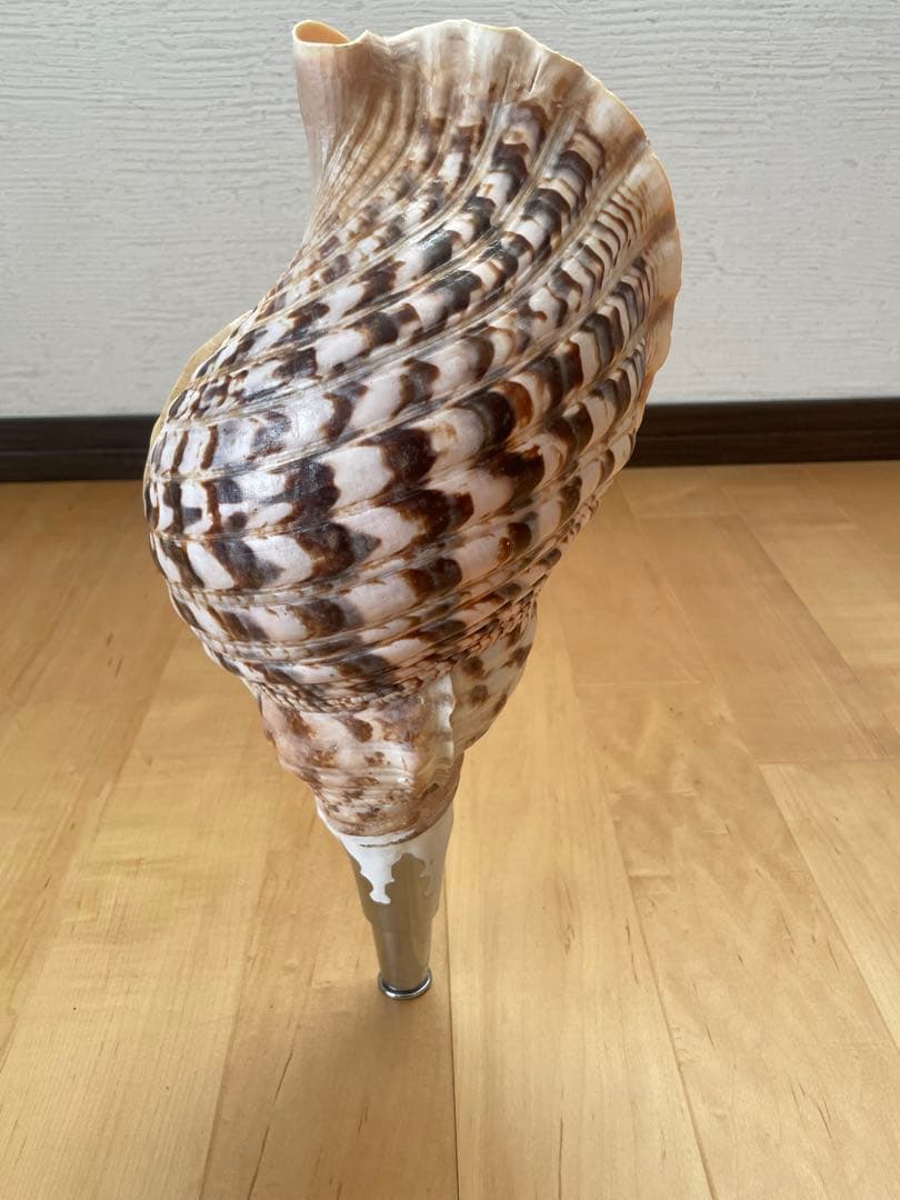 法螺貝　ほら貝　ホラ貝　神社　お寺　密教　お遍路　修験道　山伏　お祭り