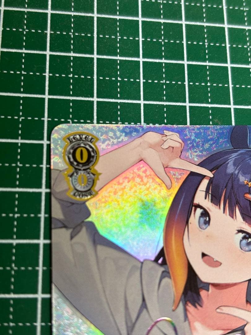 いなとタコグラム 一伊那尓栖 SSP、他2点 ヴァイスシュバルツ