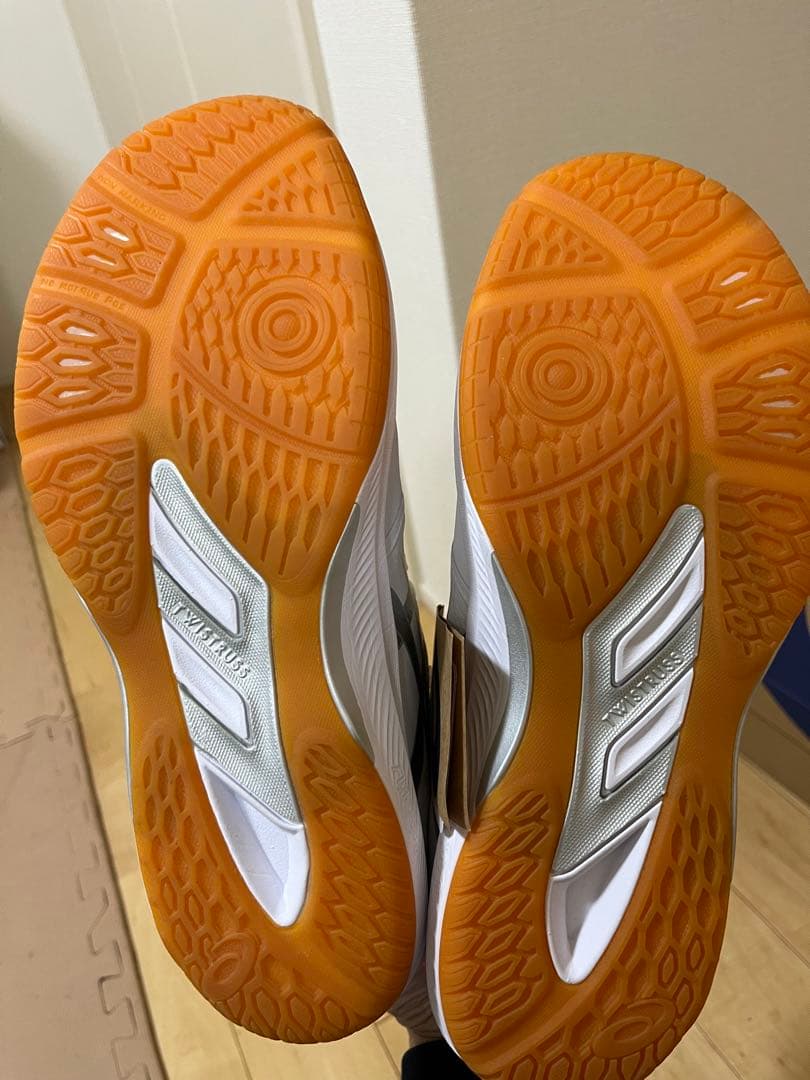 ローテジャパンライトFF3 ROTE JAPAN LYTE 27.0cm