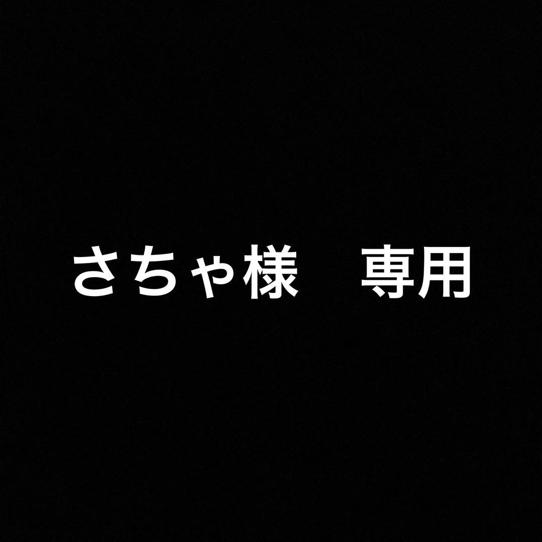 動作良好　メンテナンス済み　リファ ストレート アイロン RE-AC02A
