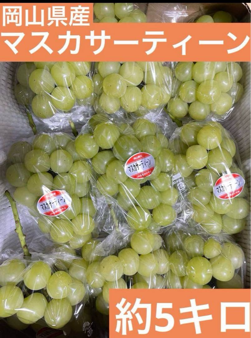 ③ 【岡山県産】マスカサーティーン(葡萄)9〜10房 約5キロ