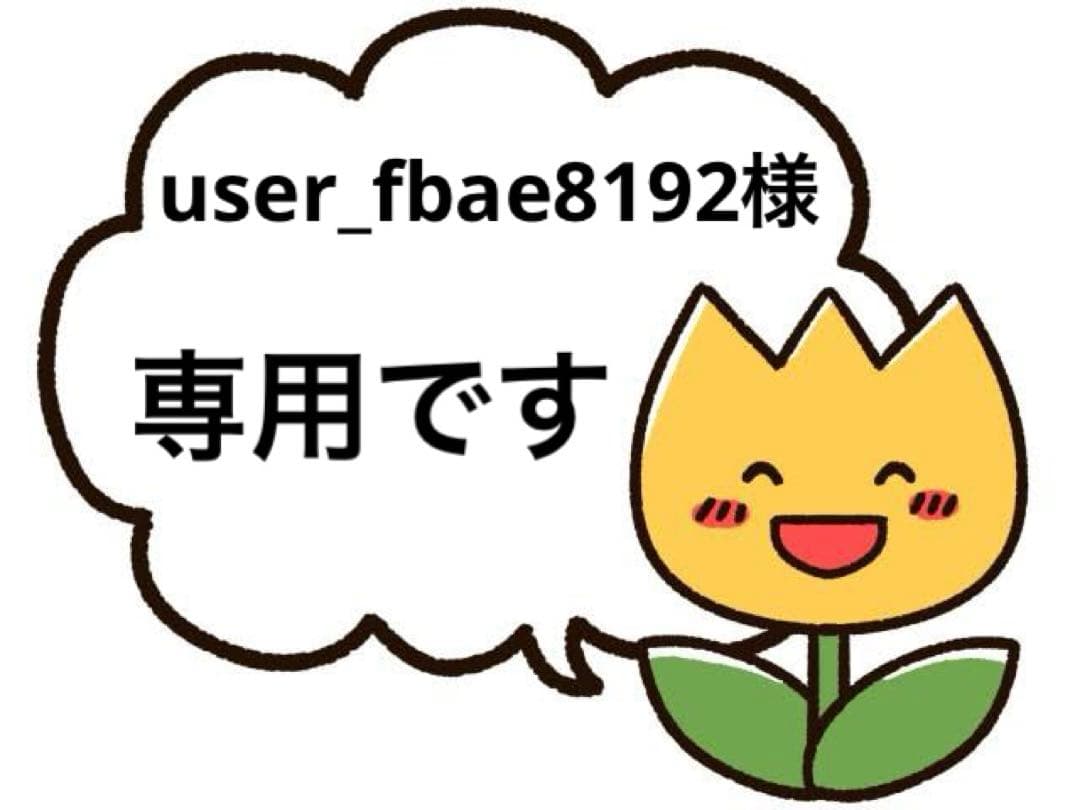 六花亭⭐️リッチランド⭐️9枚入