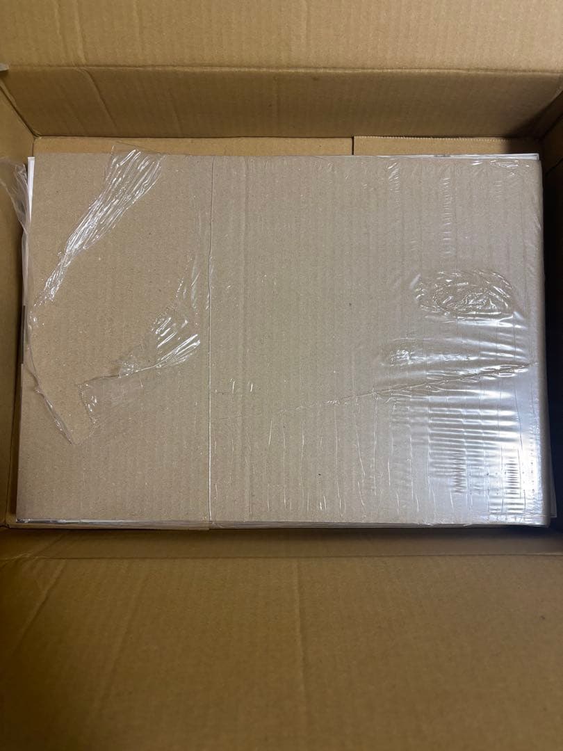 MONSTERS 一百三情飛龍侍極 リューマプロモ　即日発送