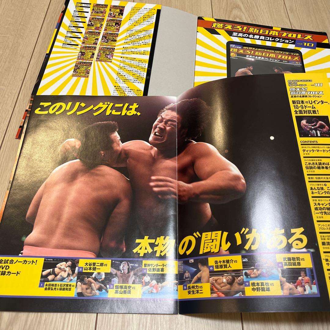 燃えろ！新日本プロレス　新日本vsUインター　10.9東京ドーム