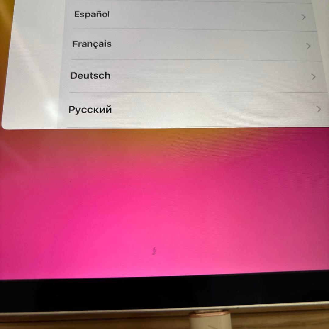 iPad Pro 11インチ wifiモデル