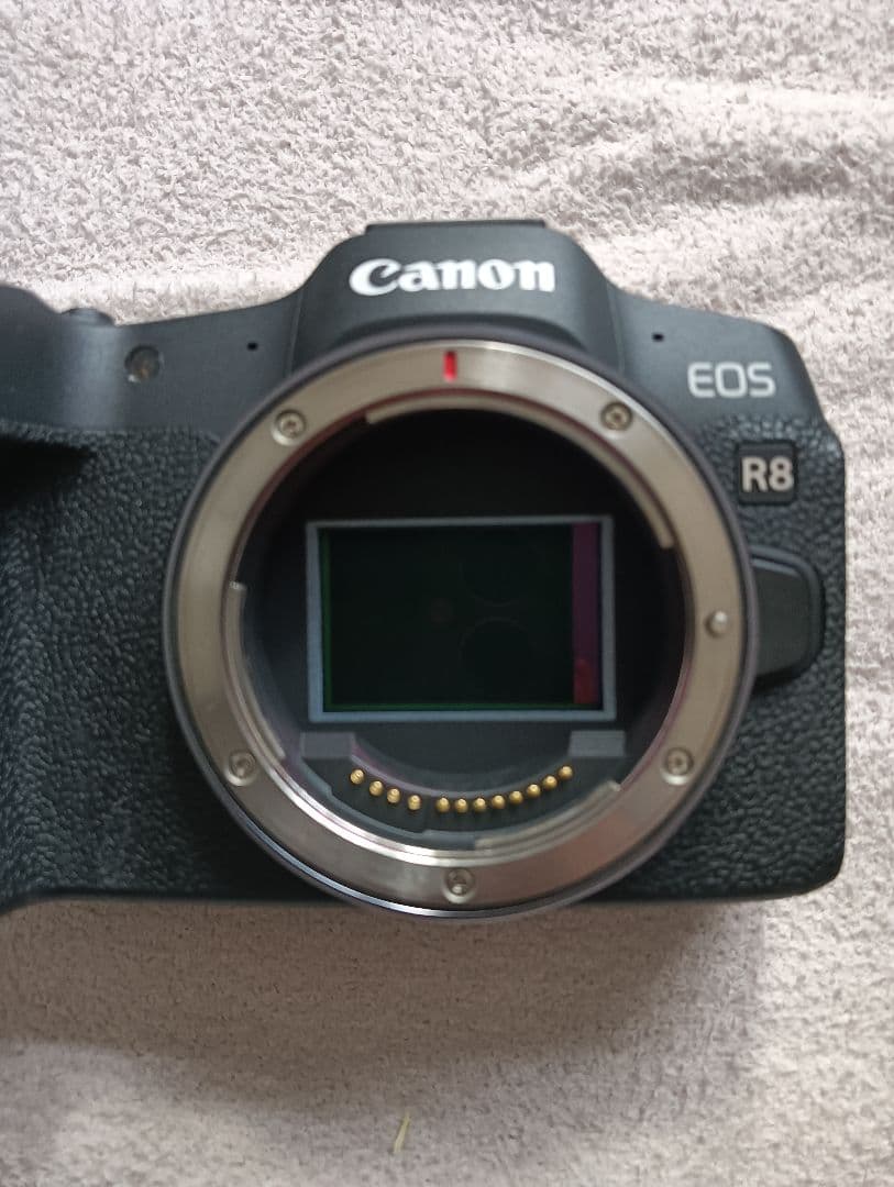 Canon EOS R8 ボディ 美品