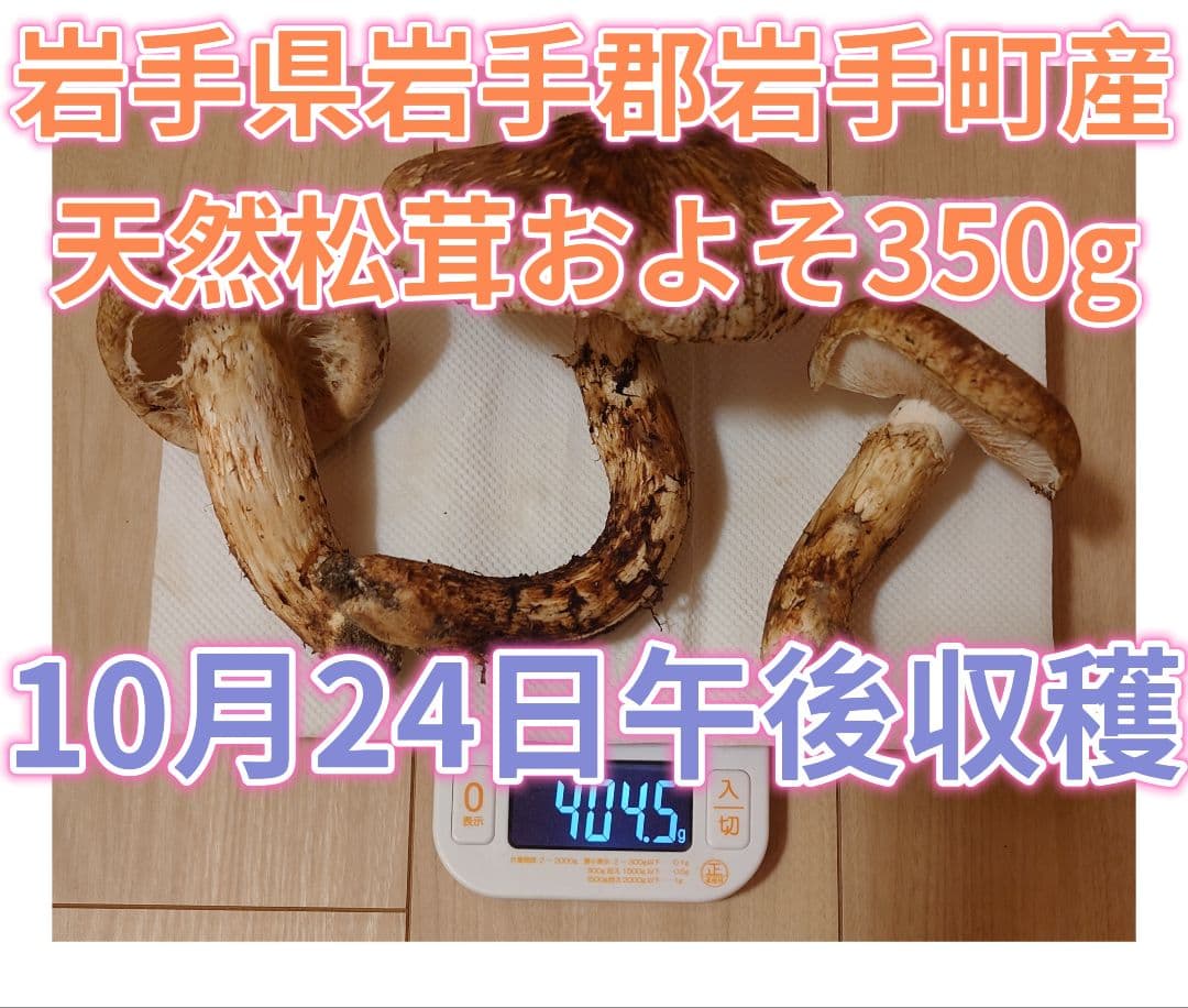 #岩手県岩手郡岩手町産天然松茸およそ350g