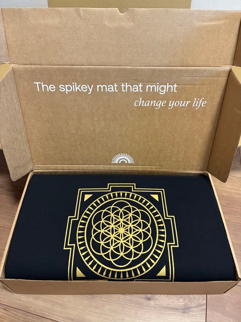 【10/13まで】Shakti シャクティマットピローセット レベル2 黒