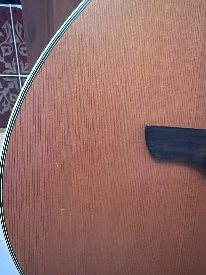 TAKAMINE NPT-110 エレガット