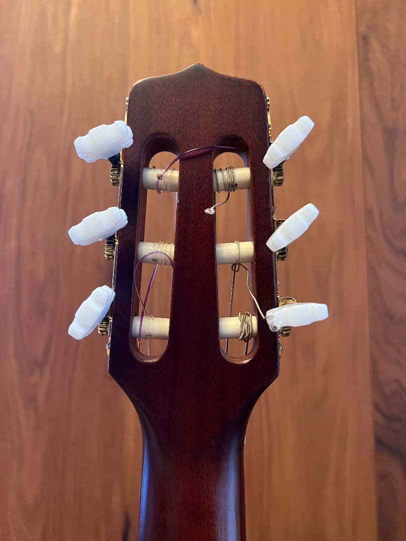 TAKAMINE NPT-110 エレガット