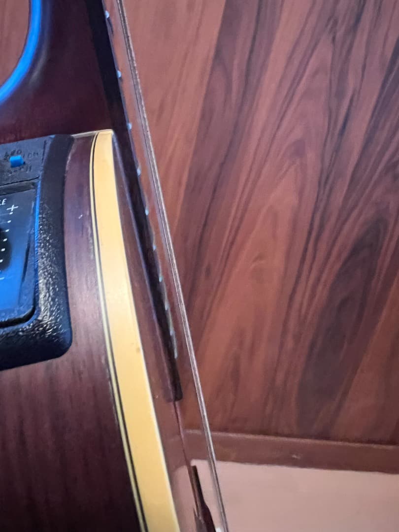 TAKAMINE NPT-110 エレガット