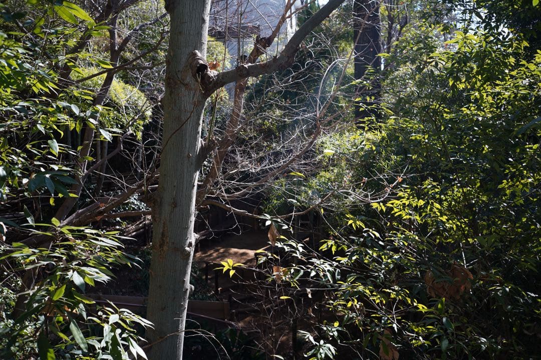 ライカ ズミクロン 35mm 6枚玉 ツノ付き Leica Summicron
