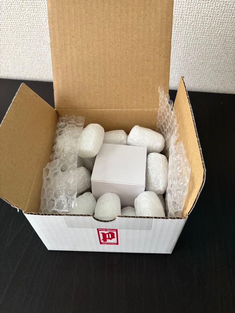 テ*ツ様 Pointless Journey シルバーピアス【限定箱付き】