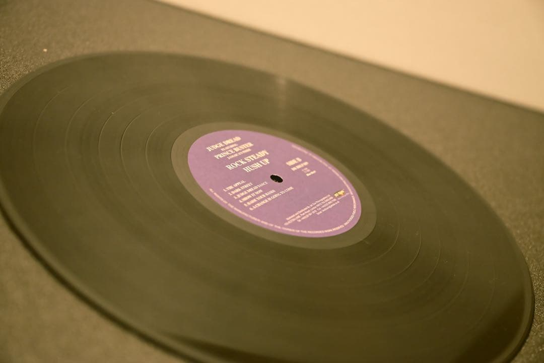 TT　Fly Flying Ska Judge Dread