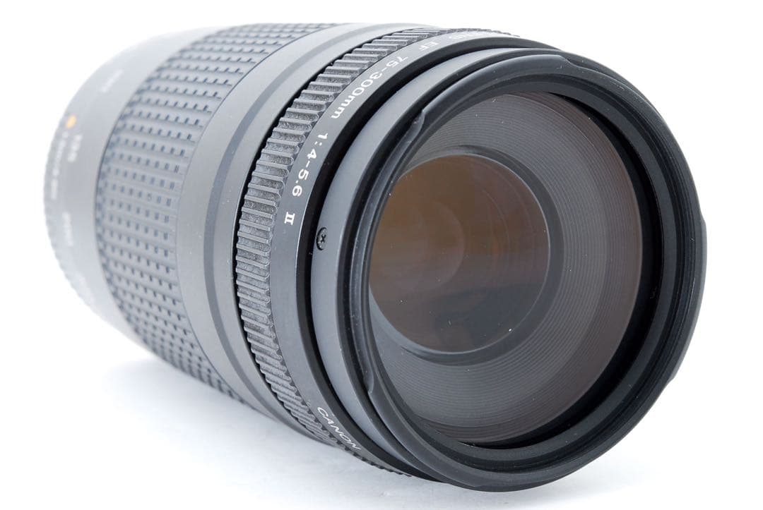 遠くも撮れる　キャノン　望遠レンズ☆ Canon EF75-300㎜