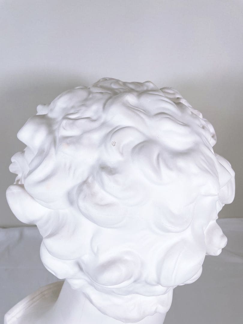 【良品】 石膏像 メディチ 胸像 顔 美術 スケッチ インテリア