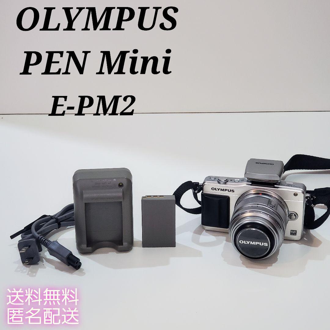 OLYMPUS ミラーレス一眼カメラ E-PM2 レンズフラッシュ付き