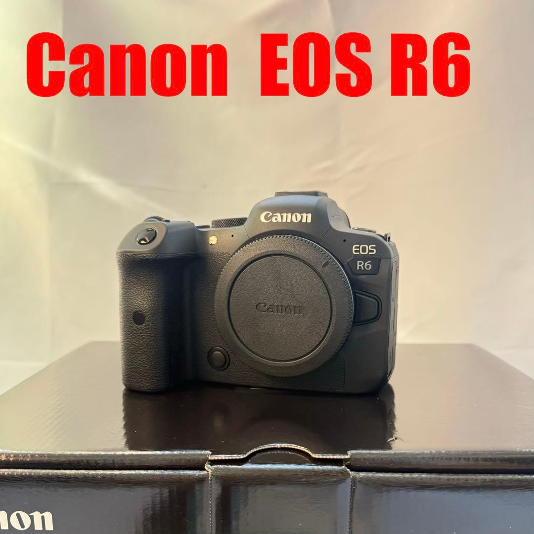 Canon EOS R6 ミラーレス一眼 ボディ