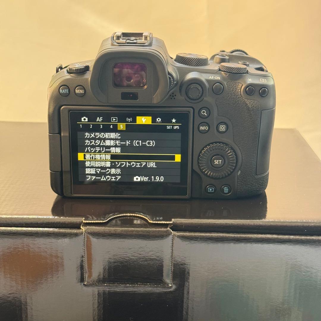 Canon EOS R6 ミラーレス一眼 ボディ