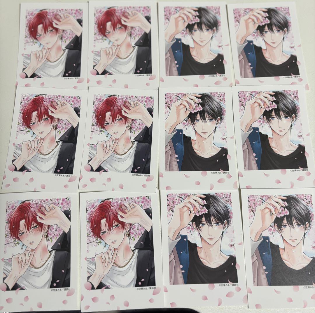 たまらないのは恋なのか TSUTAYA フェア チェキ風カード 12枚セット