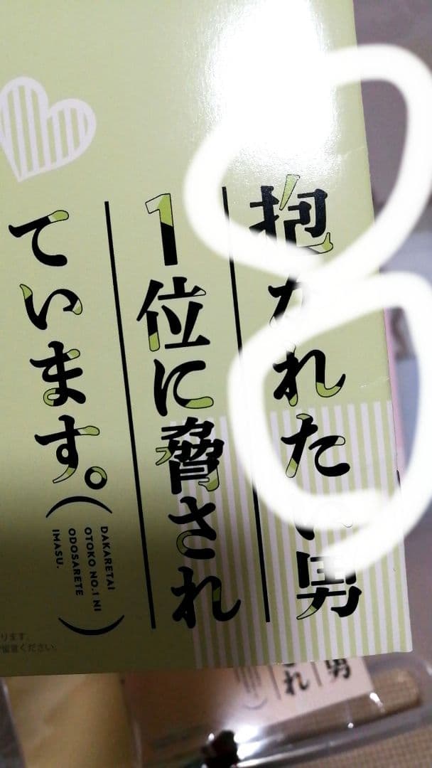 抱かれたい男一位に脅されています　だかいち　小冊子　ブックレット　リーフレット
