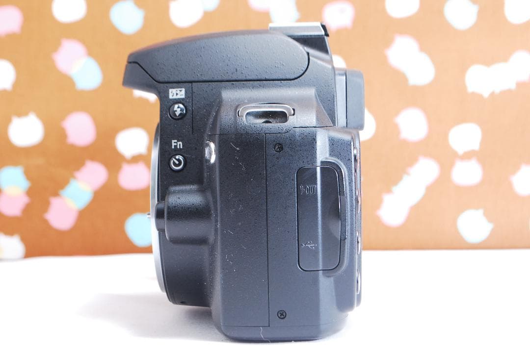 ✨スマホ転送可能✨ショット数6262回✨Nikon D40x レンズセット