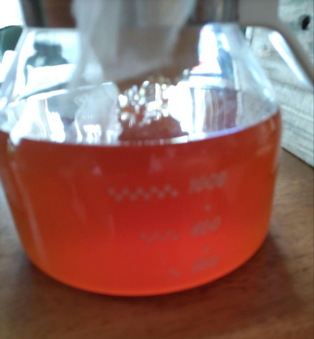 日本ミツバチ完熟蜂蜜（秋蜜、600g✕2）