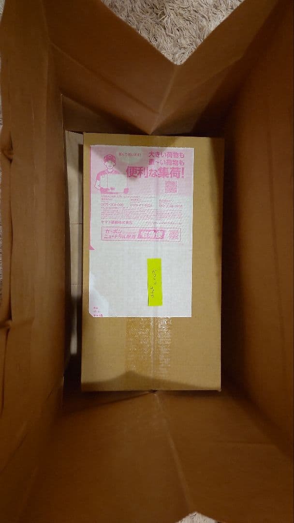 【新品未開封】スペシャルBOX ポケモンセンターヒロシマ 段ボール未開封