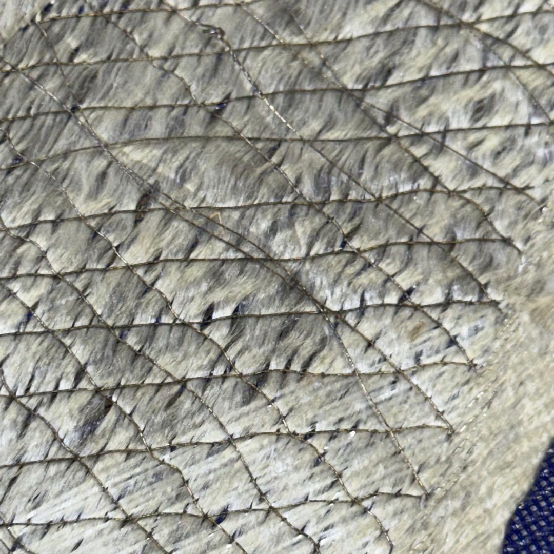 R*a様 鯉　刺繍帯　名古屋帯 紺色　夏帯　螺鈿　貝　白銀　笹　希少