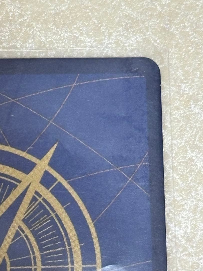 ワンピースカード ポートガス・D・エース SEC パラレル OP13-119