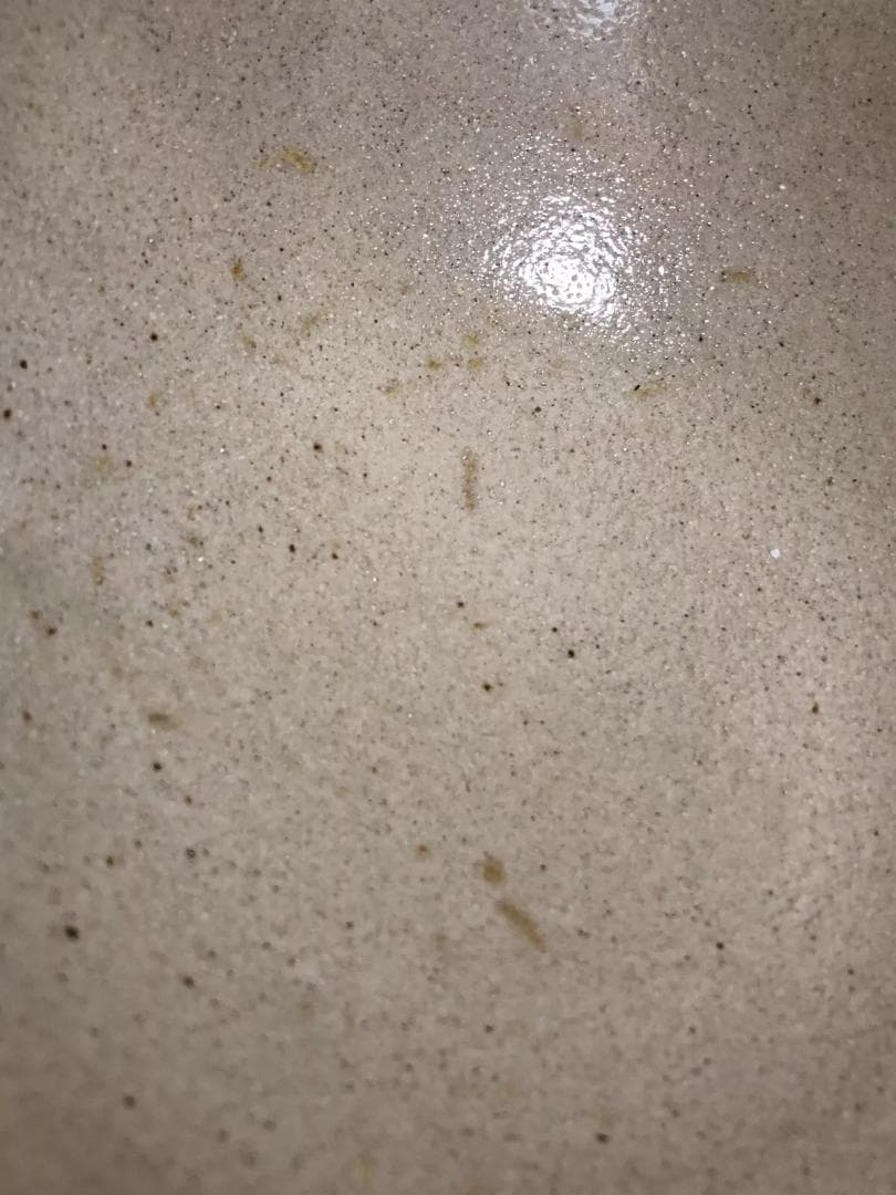 やちむん陶器ボウル 足付き　植物唐草モチーフ　沖縄　伝統工芸品　お皿食器　焼物