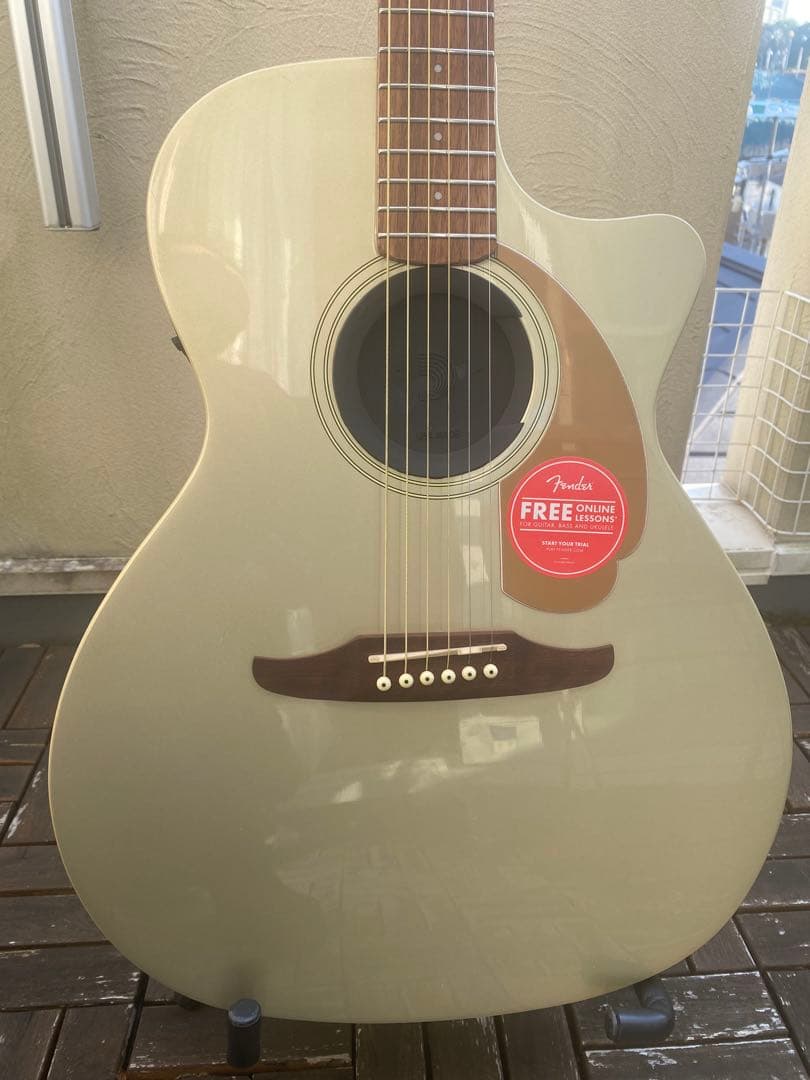 Fender Newporter Player (フェンダーニューポーター)