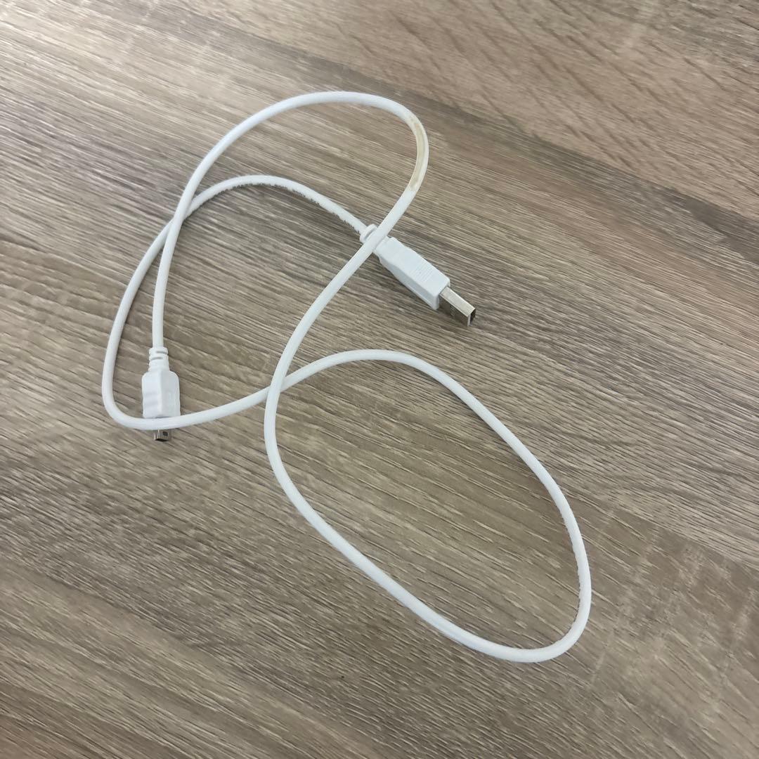 【動作確認済】JVC HDメモリーカメラ GC-FM1-A ブルー