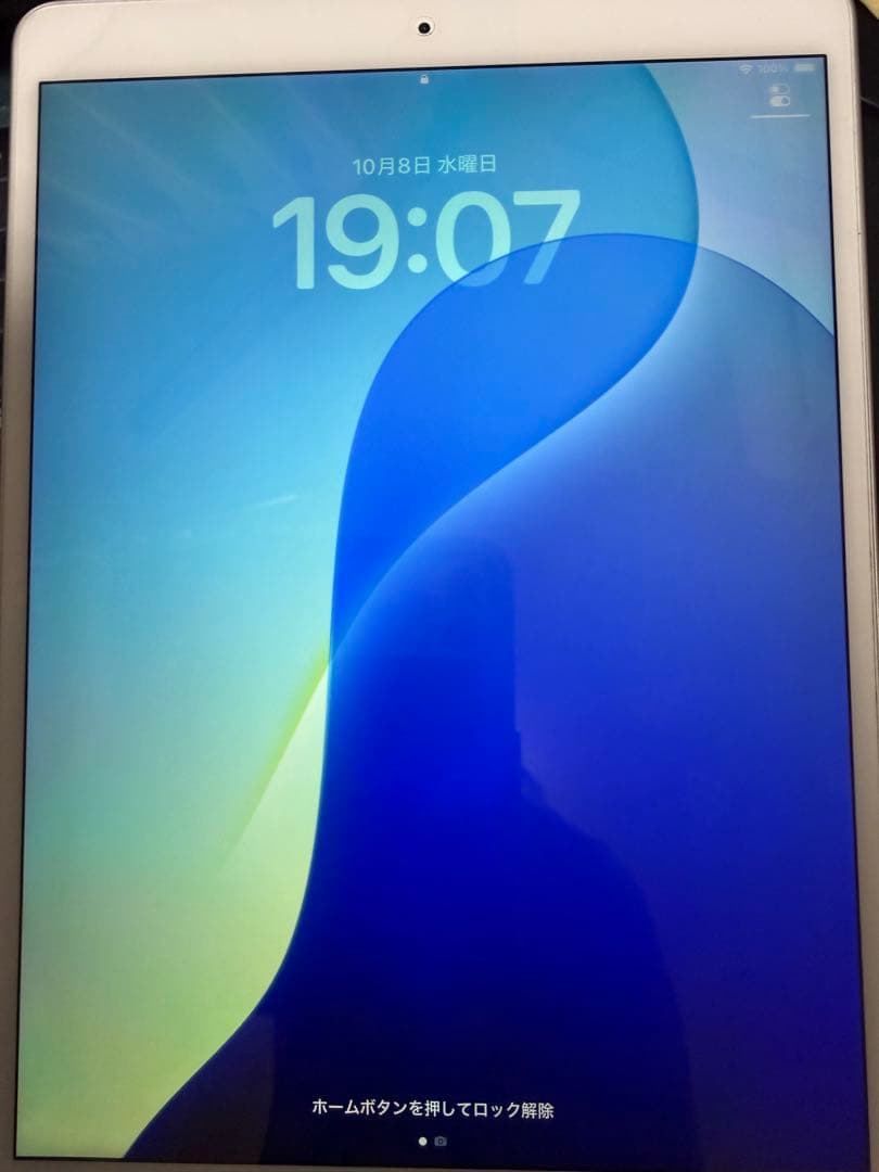 iPadAir3(第3世代)256GB Wi-Fi+Cellular　モヤあり