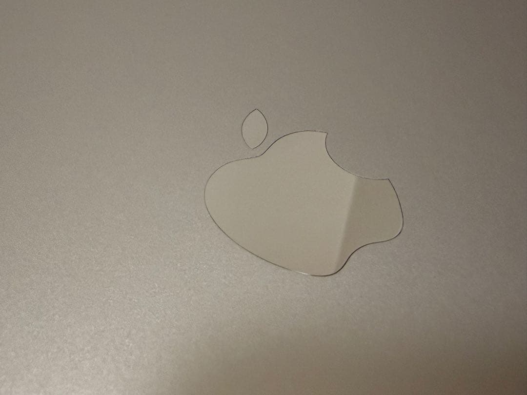 当日発送 Apple Care+付き iPad Pro M4 13インチ 1TB