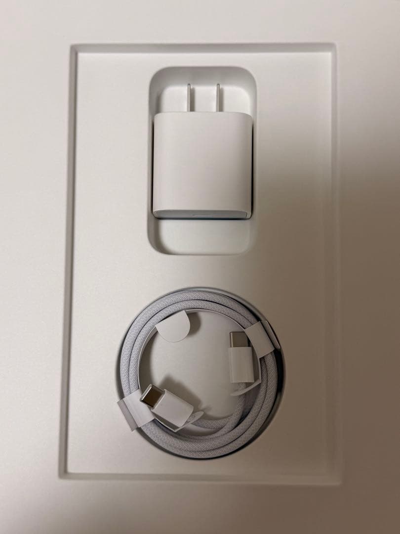 当日発送 Apple Care+付き iPad Pro M4 13インチ 1TB