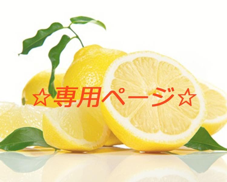 てんてこさん　エブリースキン