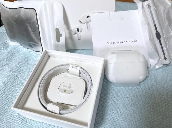 AirPodsPro2 usb-C Apple純正 極美品 オマケ→ 保護ケース