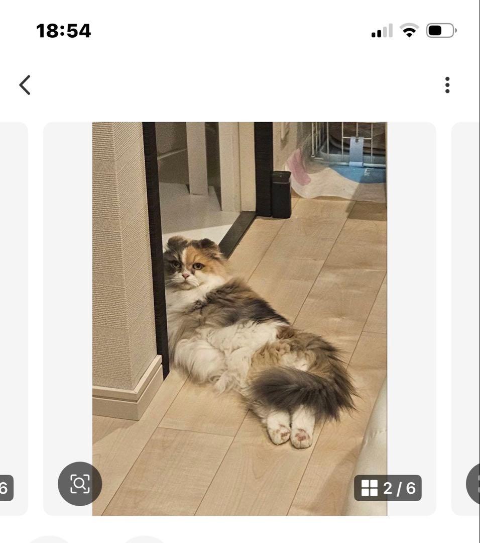 ゆみみゆりんゴルフボールケース