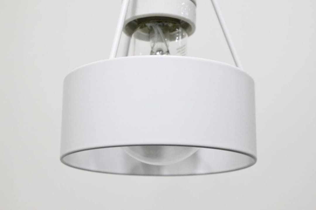 ルイスポールセン Pakhus パークフース ペンダントライト ランプ 北欧 ③