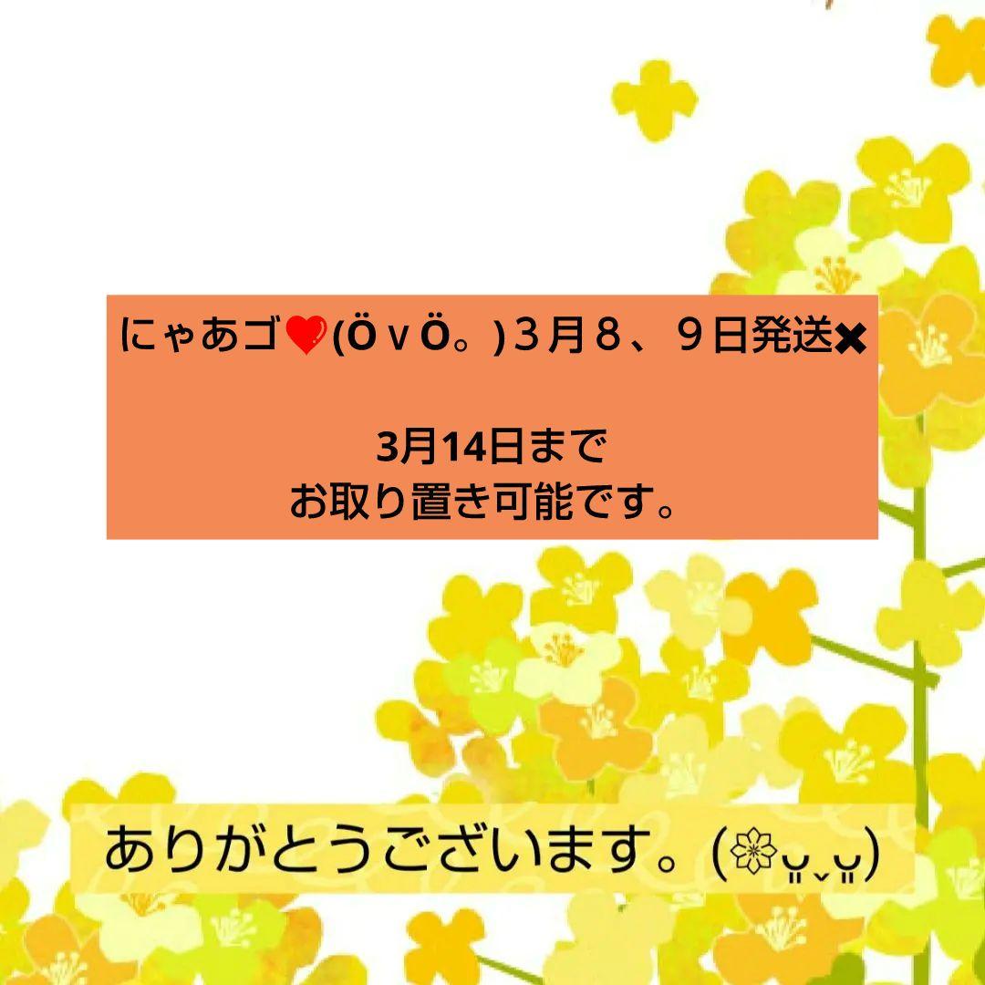 にゃあゴ❤(ӦｖӦ。)３月８、９日発送✖ 様