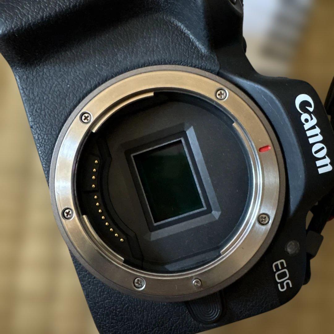Canon EOS R50 カメラ 本体　ジャンク