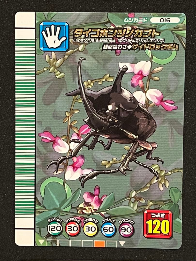 甲虫王者ムシキング　カード