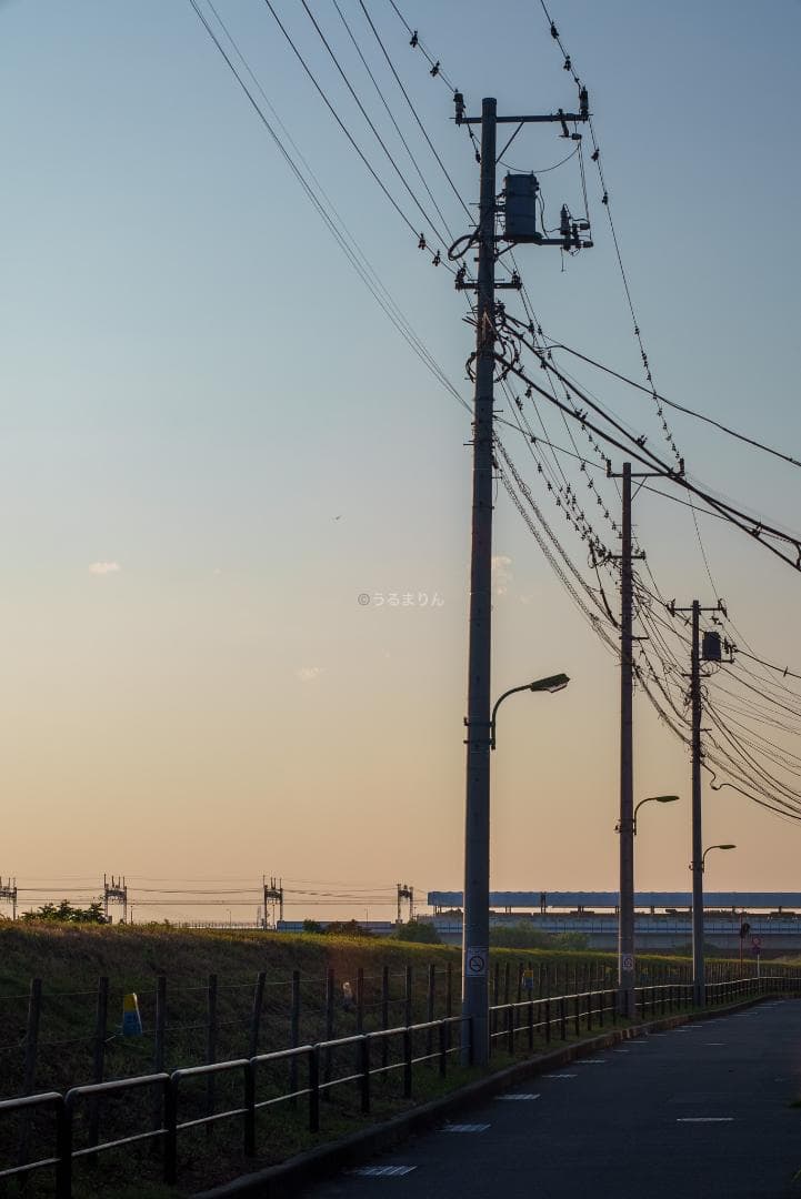 木村文乃使用モデル！Leica Elmarit 90mm F2.8オールドレンズ