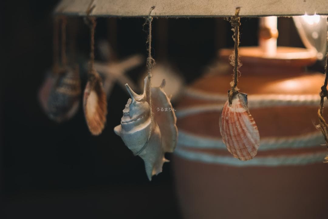 木村文乃使用モデル！Leica Elmarit 90mm F2.8オールドレンズ