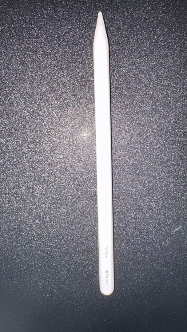 第6世代iPad Pro本体12.9セルラーモデル　 ApplePencil