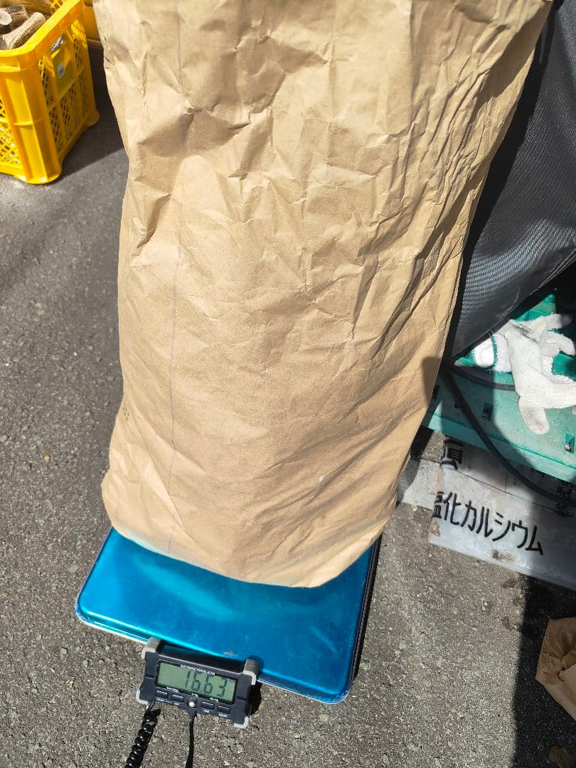 鹿の角　端材16kg　北海道産