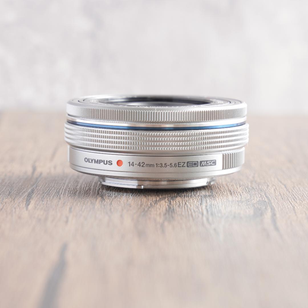 ✨ショット数1232回で超美品✨OLYMPUS PEN E-PL10　773-1