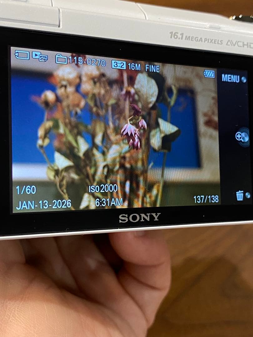 Sony α NEX-3Nミラーレス一眼 オールドレンズ　標準ズームと望遠付