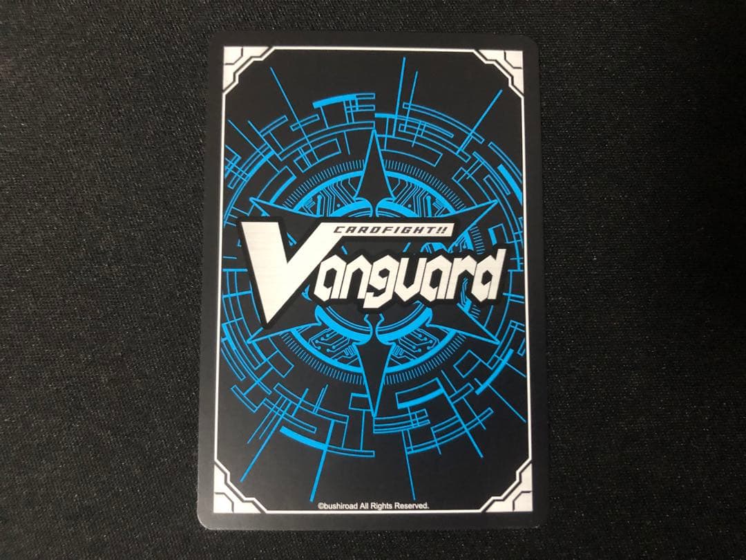 明導ヒカリ　エネルギー　SER ヴァンガード